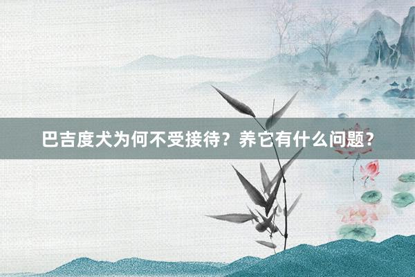 巴吉度犬为何不受接待?养它有什么问题?